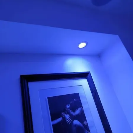 Elegant L'orchidee Jacuzzi En Interieur Toute L'annee Appartement *