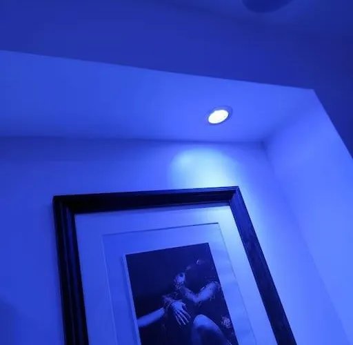 élégant L'orchidée Jacuzzi En Intérieur Toute L'année Appartamento *
